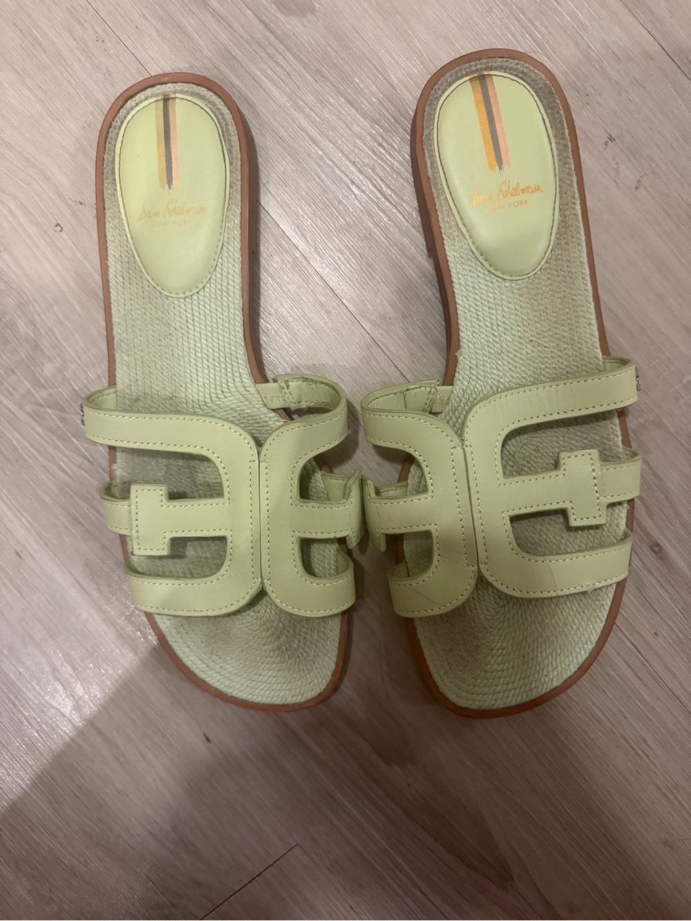 Sam Edelman Pale Green Cutout Slide Sandals